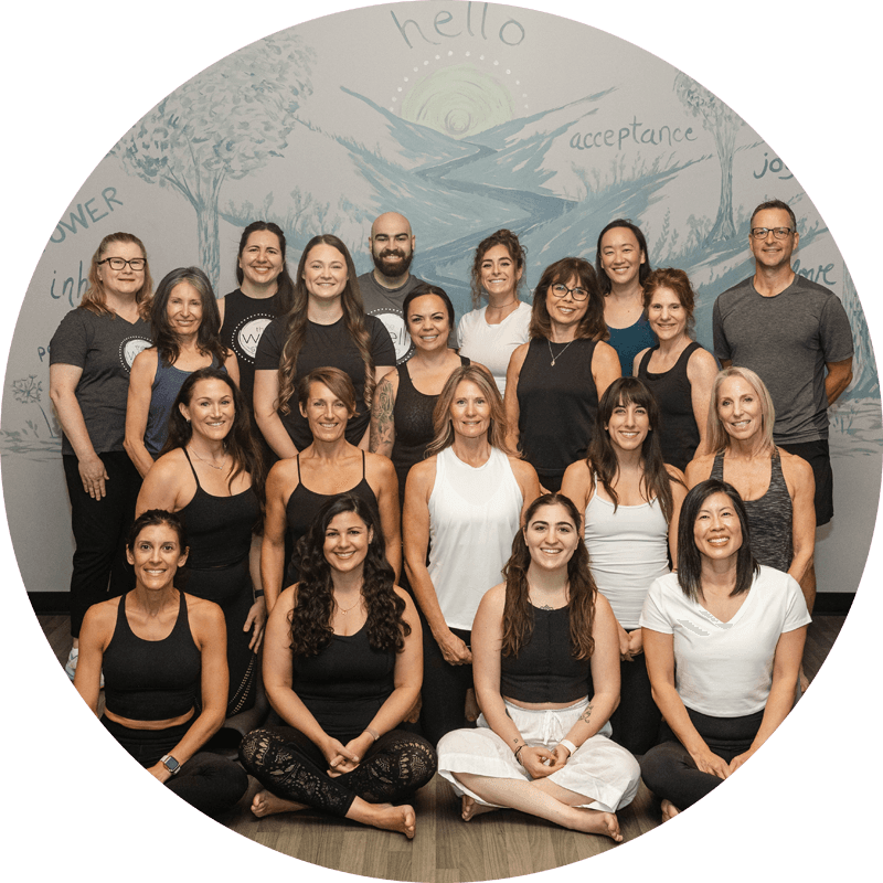 Well Studio Team of fully certified yoga, pilates & physical therapy instructors & personal trainers.