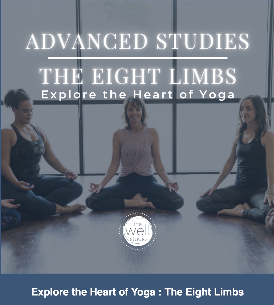 8 Limbs Advanced yoga teacher training with stacy mcginty